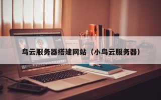 东明鸟云服务器搭建网站（小鸟云服务器）