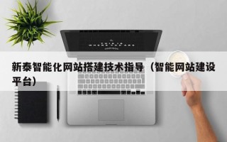 东明新泰智能化网站搭建技术指导（智能网站建设平台）